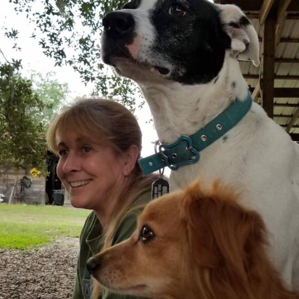 Meet your Posher, Jodi